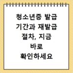 청소년증 발급 기간과 재발급 절차, 지금 바로 확인하세요