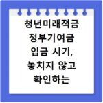 청년미래적금 정부기여금 입금 시기, 놓치지 않고 확인하는 방법
