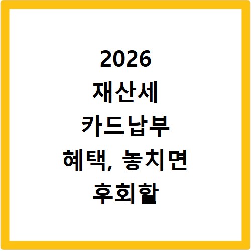 2026 재산세 카드납부 혜택, 놓치면 후회할 정보 총정리
