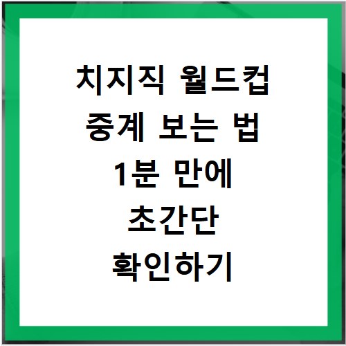 치지직 월드컵 중계 보는 법 1분 만에 초간단 확인하기
