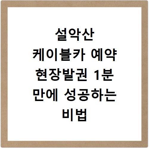 설악산 케이블카 예약 현장발권 1분 만에 성공하는 비법 공개